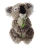 Plyšová koala 17 cm