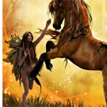 Diamantové maľovanie skrotenie koňa 30 × 40 cm