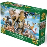 3D puzzle Africký úsmev 63 dielikov
