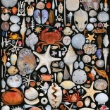 Puzzle Z pláže 1000 dielikov PIATNIK