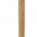 Drevená ceruzka s levíčikom s chlpatou hrivou