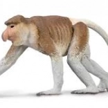 Figúrka nosáča sundského Collecta