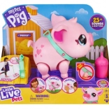 Little Live Pets interaktívne prasiatko Piggly na vôdzke