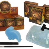 Vykopávky starovekých tvorov – prekvapenie amonit